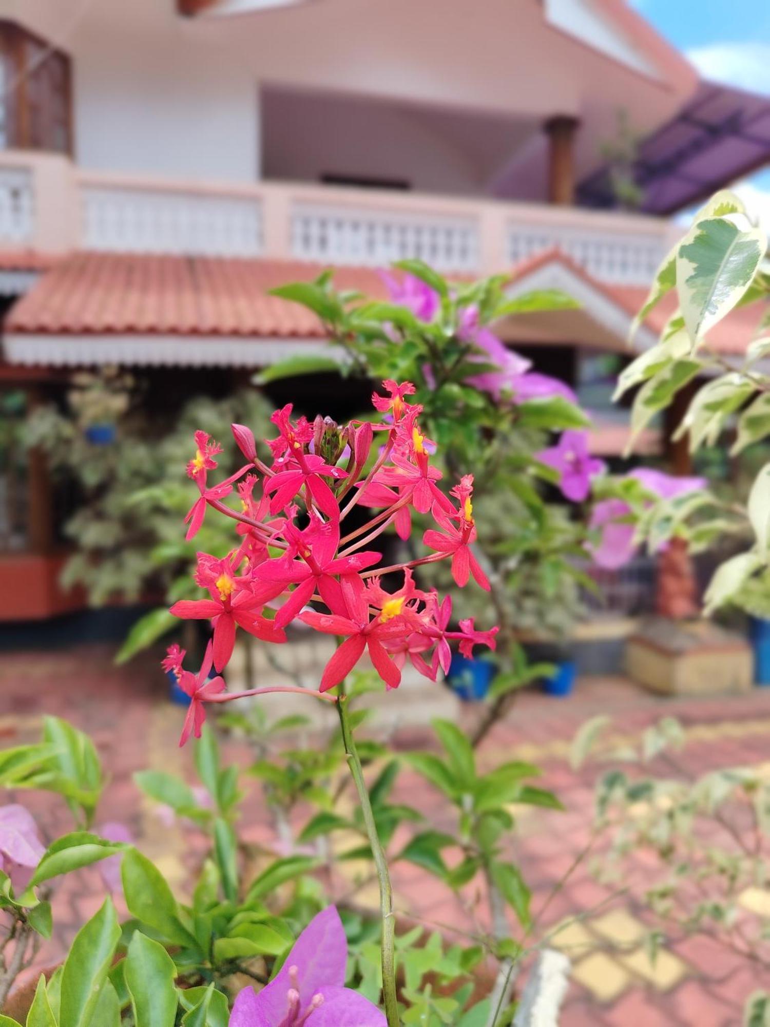 Shivalaya Homestay, Madikeri Siddāpur Esterno foto