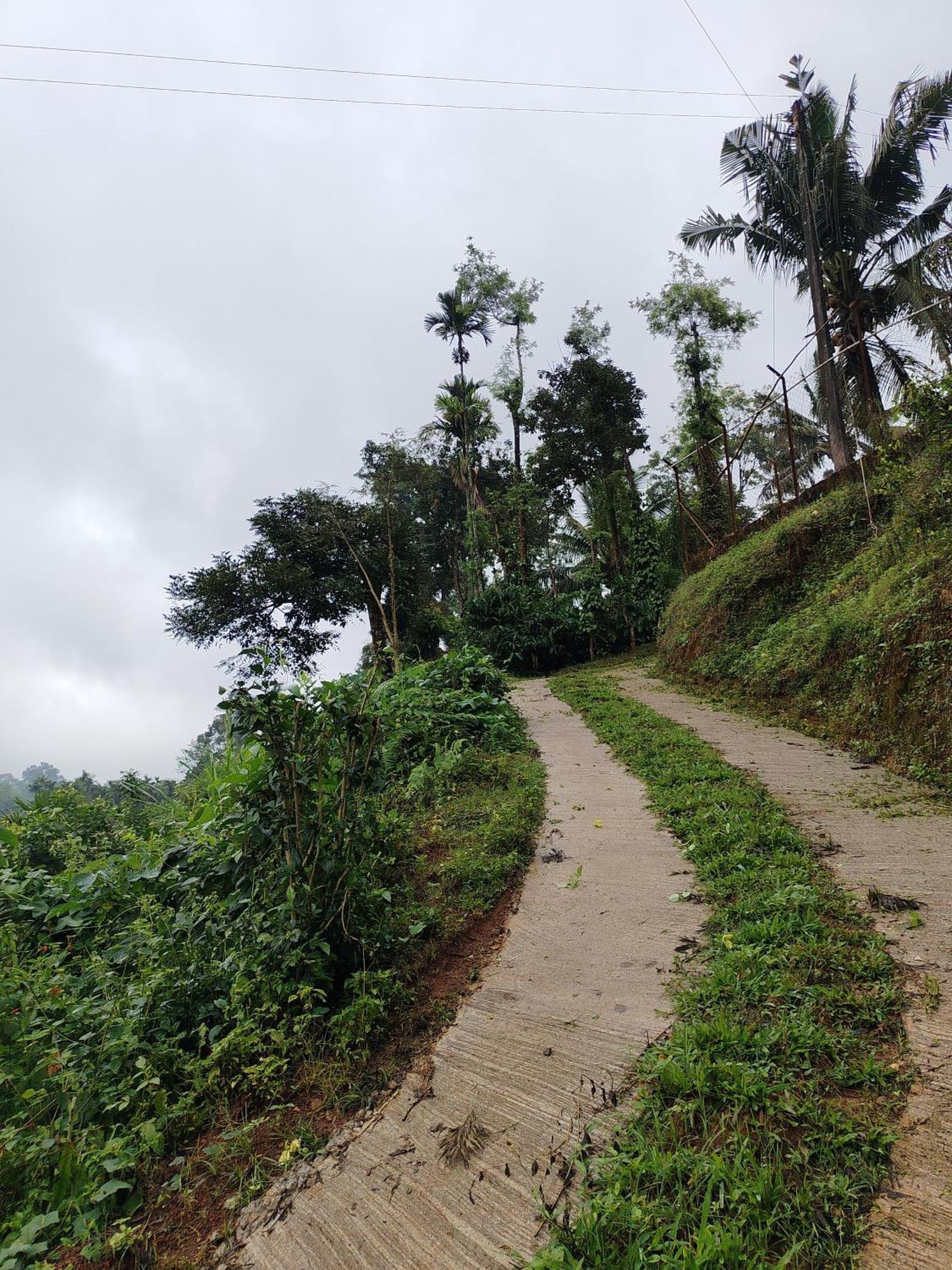 Shivalaya Homestay, Madikeri Siddāpur Esterno foto