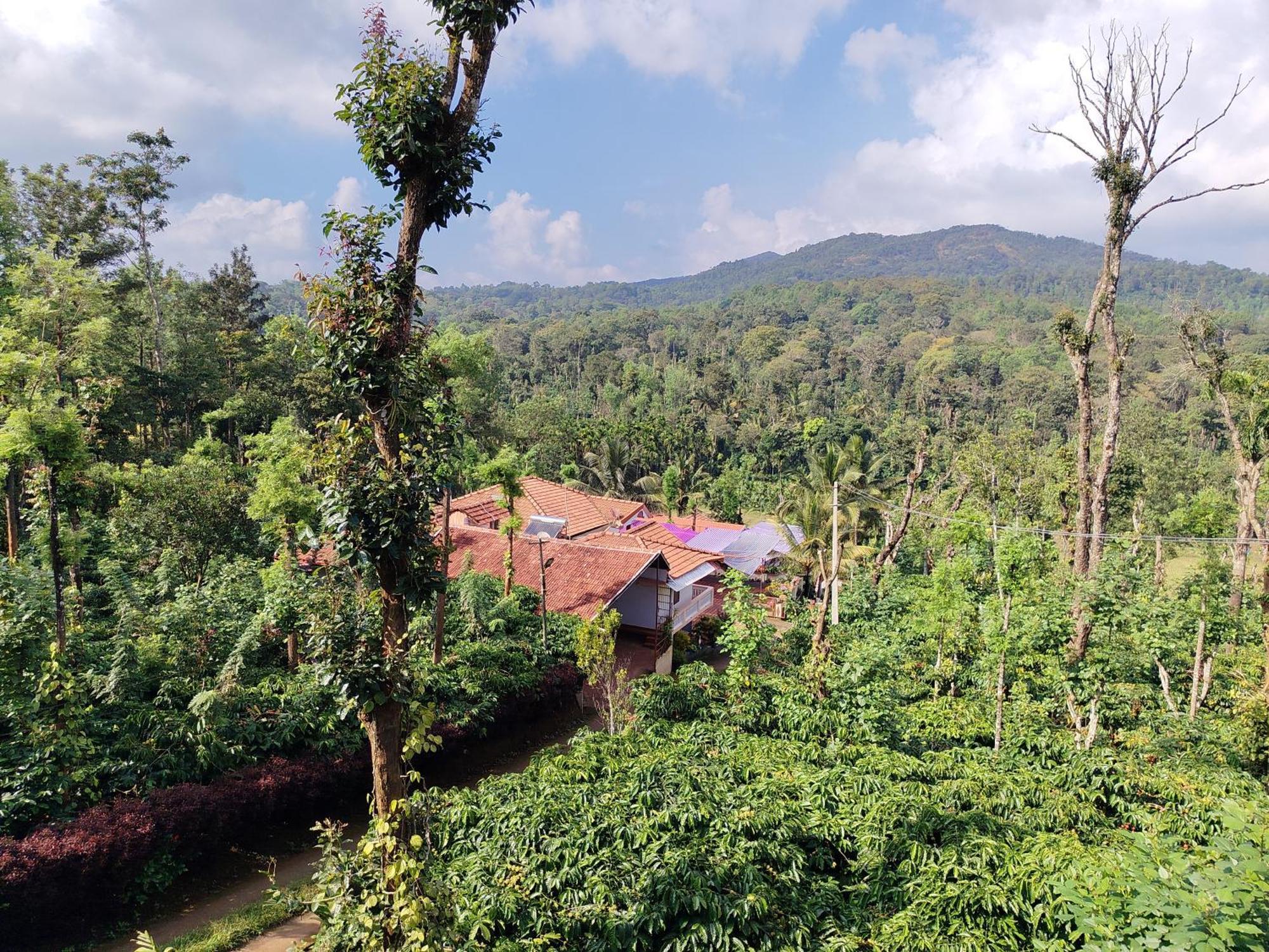 Shivalaya Homestay, Madikeri Siddāpur Esterno foto