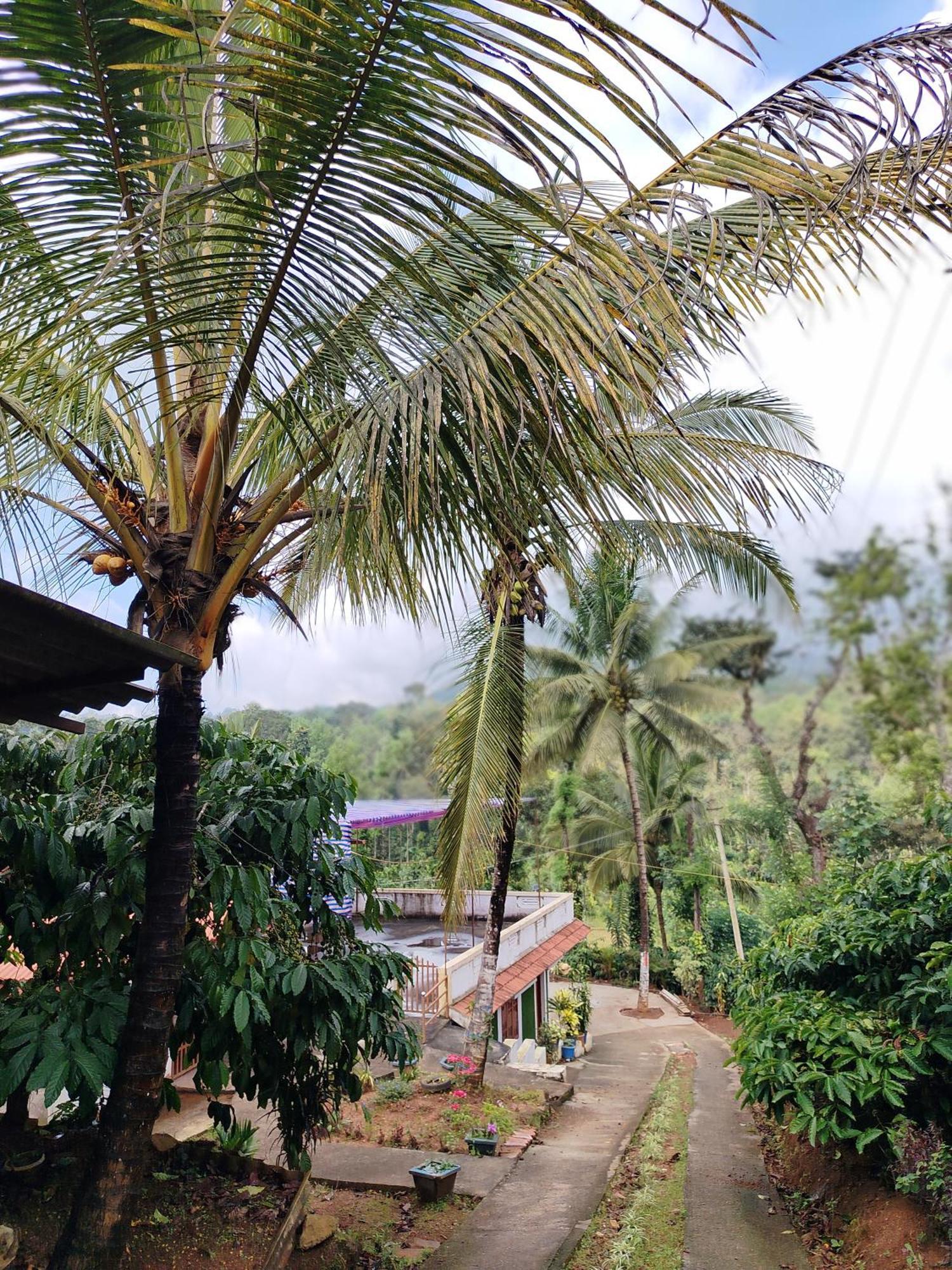 Shivalaya Homestay, Madikeri Siddāpur Esterno foto